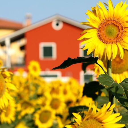 B&B Doremi Osimo Kültér fotó