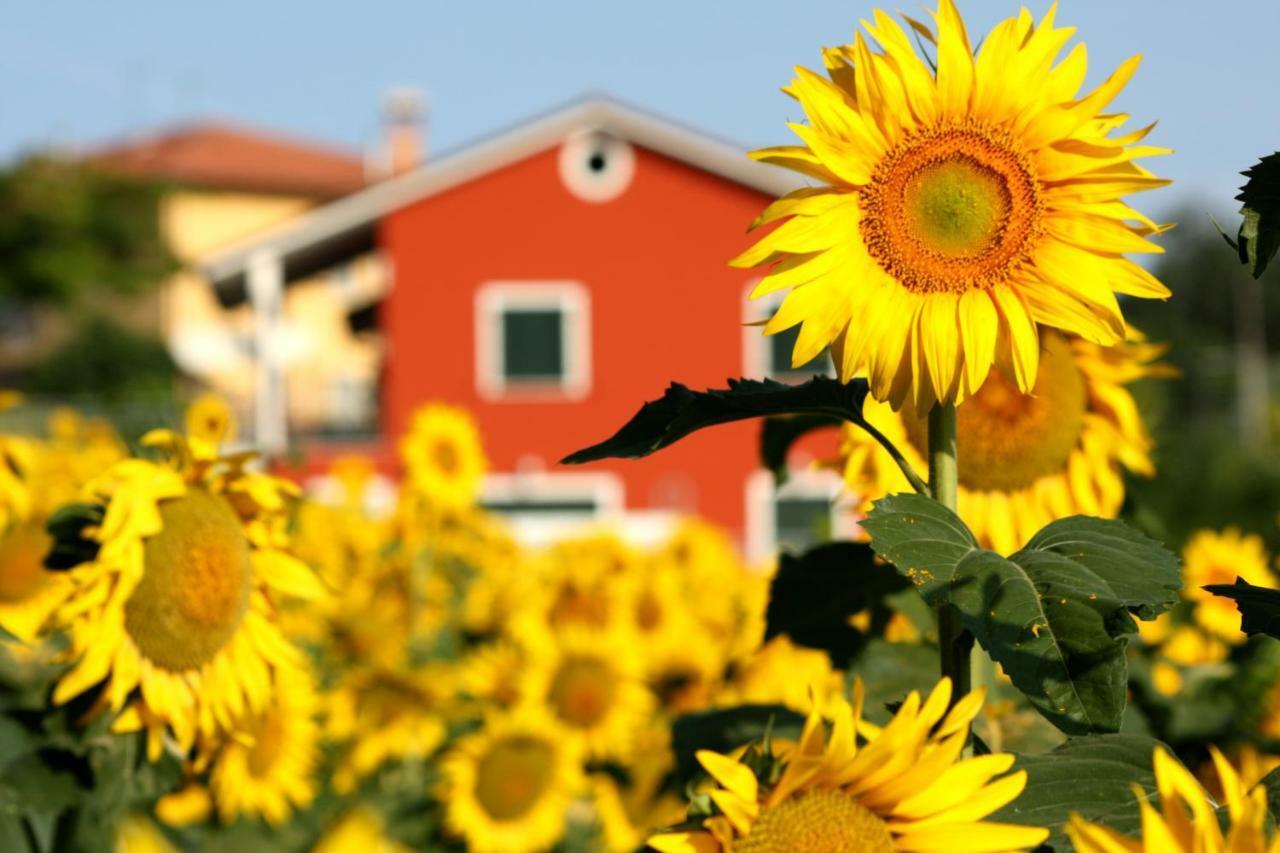 B&B Doremi Osimo Kültér fotó